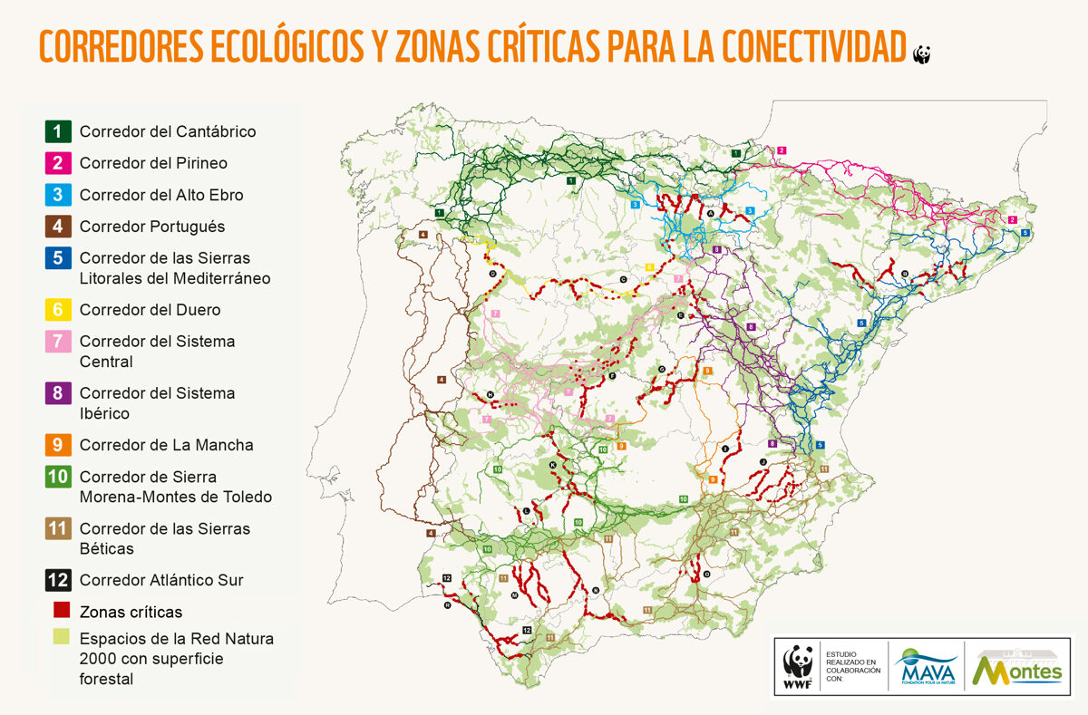 mapa_corredores_zonascriticas.jpg